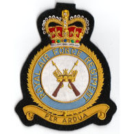 RAF Regiment wire blazer badge